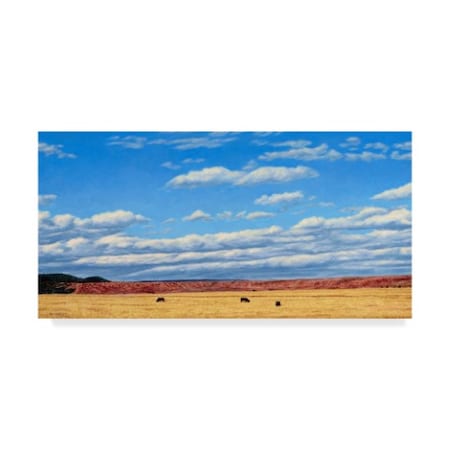 James W. Johnson 'Agri Nature 15' Canvas Art,10x19